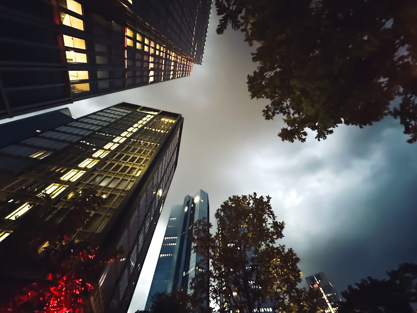 Favorit IMG 1886 Large