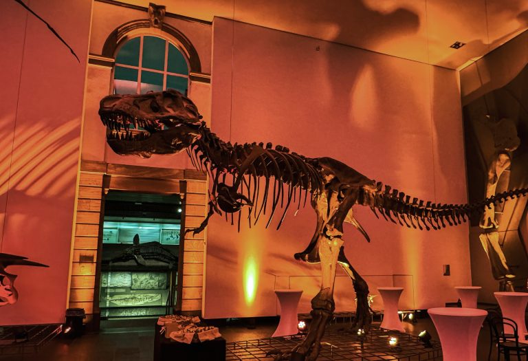 Gestaltung des Nachlasses - Möglichkeiten und Chancen! 1 IMG 7468