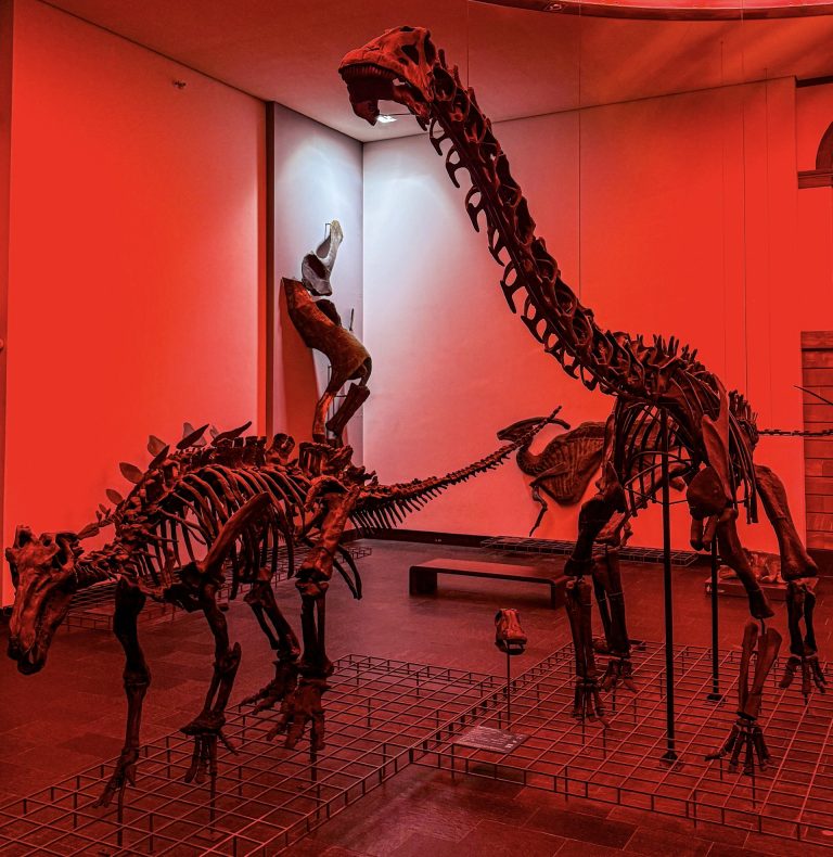 a14d8d53 36d3 4b65 8305 ef242717839b 1